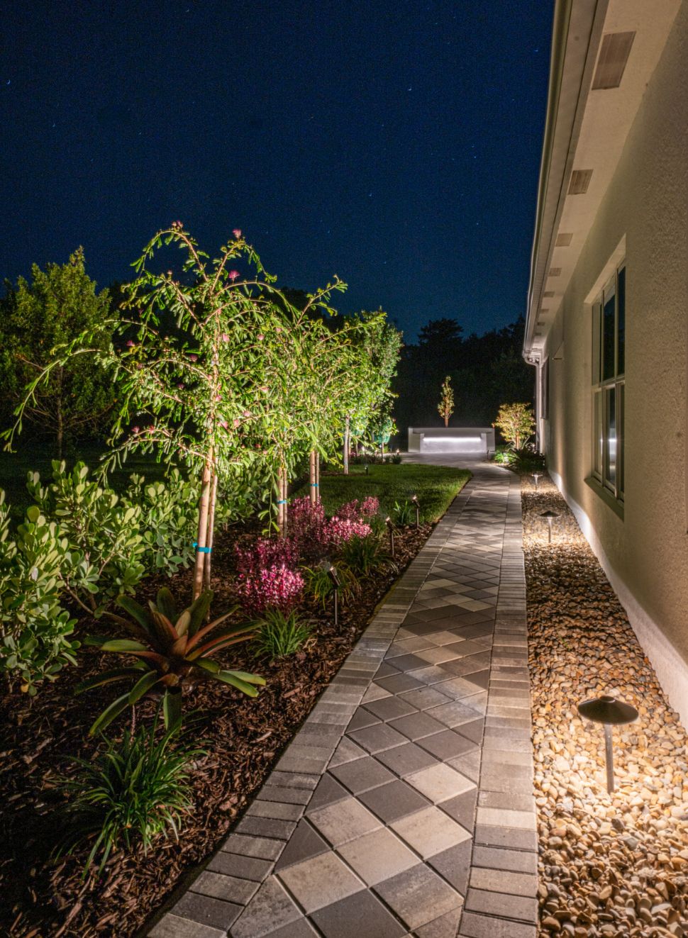 Night Spectrum Light Installation